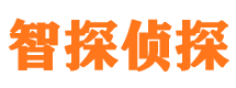 尼玛市调查公司